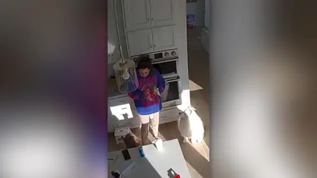 Video thumbnail for Toddlers Sweet Reaction To Finding Out Mom Was Adopted | Happily TV