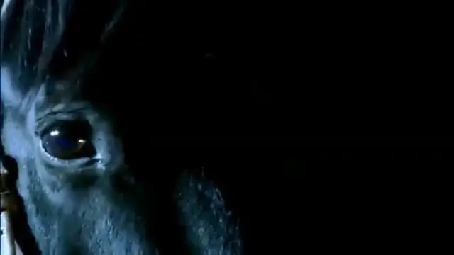 Video thumbnail for 90s Marlboro Country Commercial