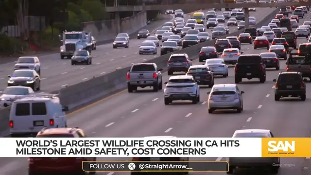 Video thumbnail for World’s largest wildlife crossing in CA hits milestone amid safety, cost concerns