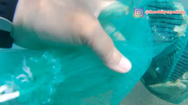 Video thumbnail for I help clean the red sea of rubbish