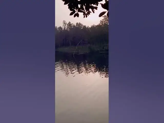 'Video thumbnail for তামাই হুরা সাগর #bd #beautiful #rever'