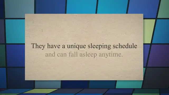 'Video thumbnail for How Long Does a Snail Sleep?'