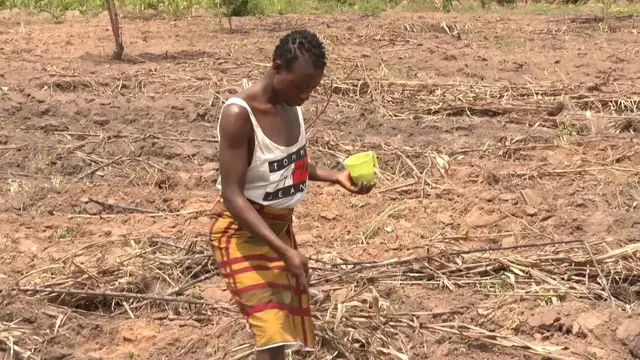 Video thumbnail for Kenya: Climate change strains food supply in Kenya.