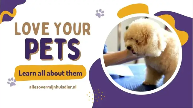 'Video thumbnail for Embark on a journey to understand and care for our beloved pets'