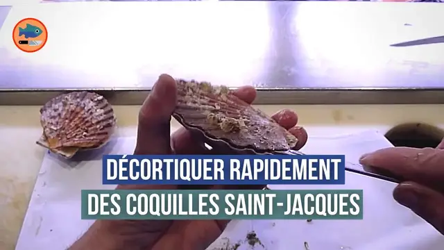 'Video thumbnail for Décortiquer les coquilles Saint-Jacques (noix et corail)'