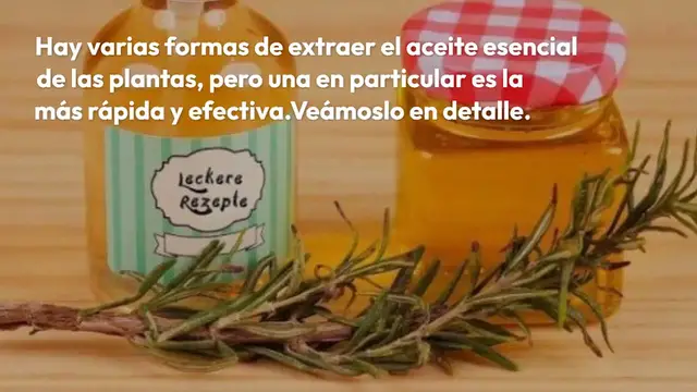 Video thumbnail for Aquí te mostramos cómo extraer el aceite de cualquier planta que tengas en casa en tan solo 5 minutos