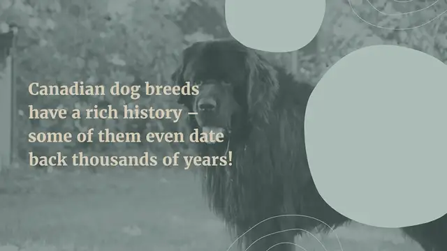 Video thumbnail for 11 Canadian Dog Breeds