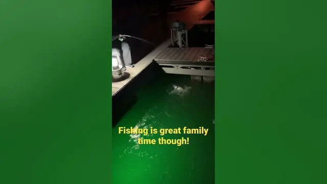 'Video thumbnail for Catching walleye from the dock as a family, it don’t get no better!'