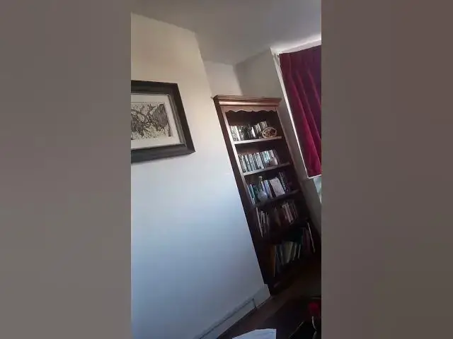 Video thumbnail for 7 November 2025