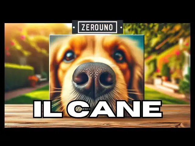 'Video thumbnail for il Miglior Amico Dell' Uomo - IL CANE'