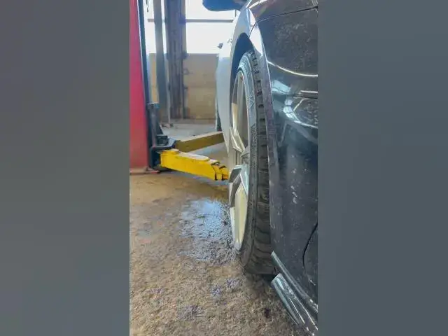 Video thumbnail for Subscribe for a surprise 😮👍 #shortsfeed #shorts #subscribeforacookie #roadto800subs