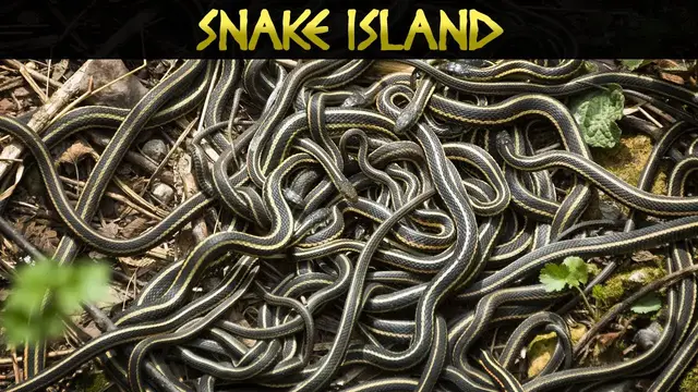 Video thumbnail for 10 Of The Most Dangerous Places On Earth
