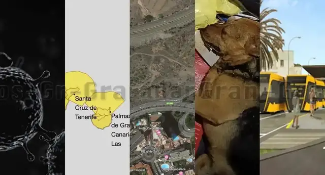 Video thumbnail for Gran Canaria Wochenrückblick vom 4. Januar 2026