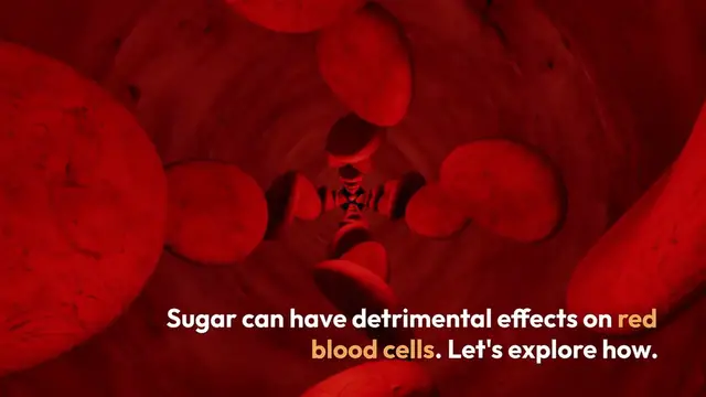 Video thumbnail for Sugar's Impact on Blood Health