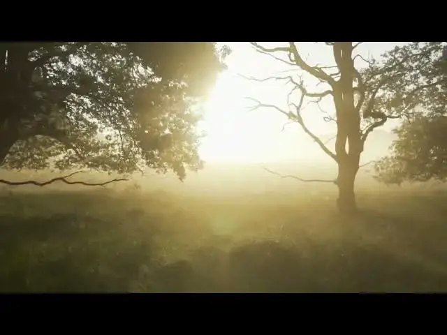 Video thumbnail for Fog, Winter   Weather