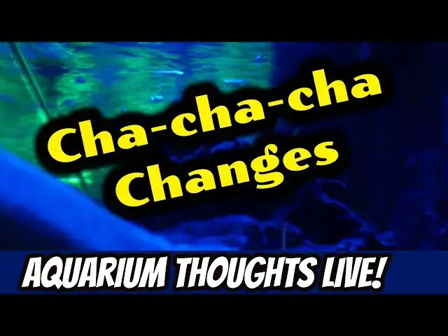 Video thumbnail for Cha-cha-cha Changes...and New Tech in the Hobby - Aquarium Thoughts Live! #2018