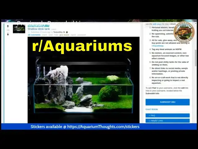 Video thumbnail for R/Aquariums | Multiple Tank Syndrome Strikes Again (Recorded Live)