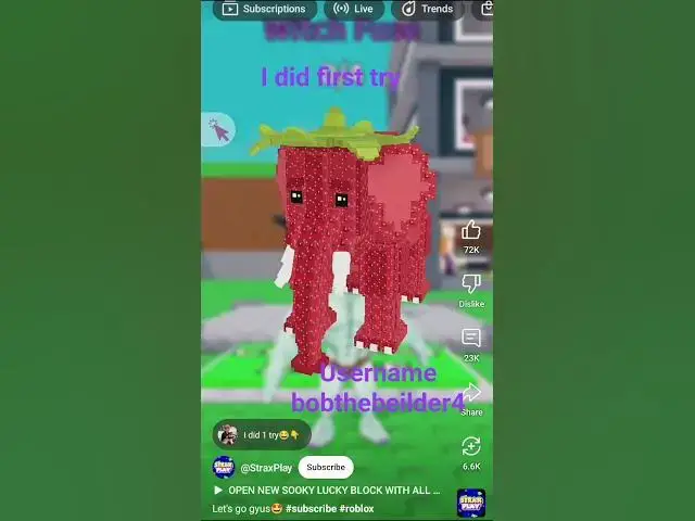 Video thumbnail for username bobthebeilder4