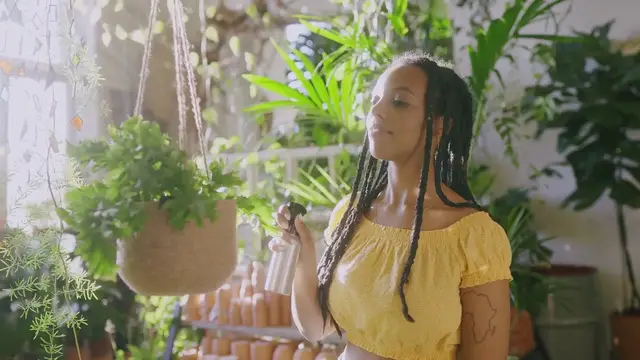 'Video thumbnail for Creative Hanging Plant Ideas for a Fresh Look of Your House'