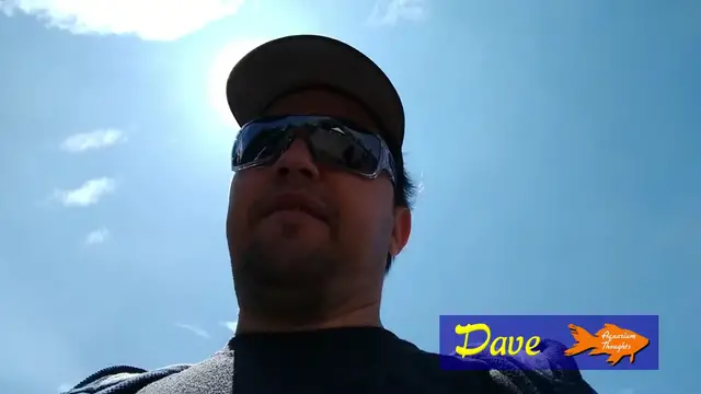 Video thumbnail for America's Family Pet Expo - Aquatic Experience Tour [Part One] - Aquarium Thoughts