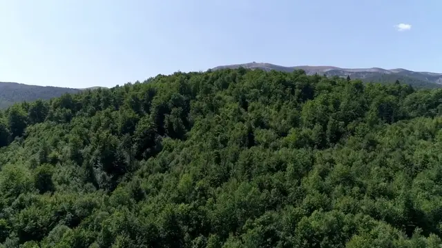 Video thumbnail for CS2 Spectator Mode