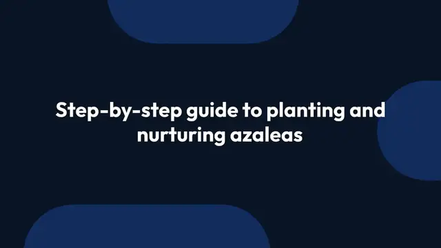 Video thumbnail for Azalea Planting Guide