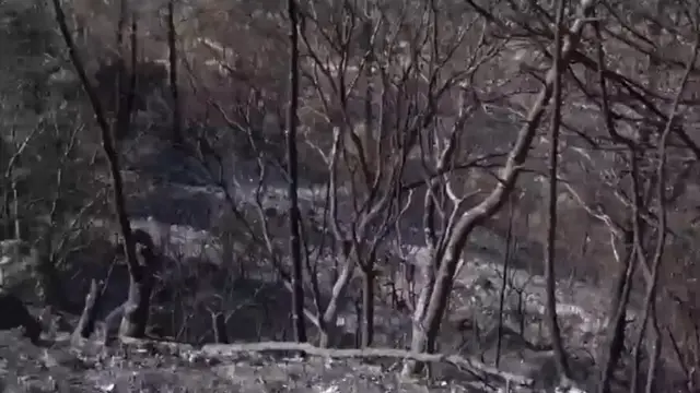 'Video thumbnail for Aude: French firefighters optimistic after controlling vast wildfire'