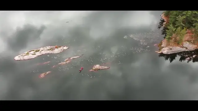 Video thumbnail for Epic Portage & Crazy Loons | Canoe Tripping in Killarney