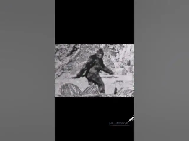 'Video thumbnail for ഏതാണ് യെതി/yeti himalaya story'