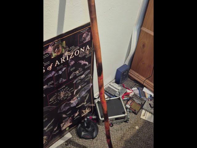 Video thumbnail for I show off my weapons