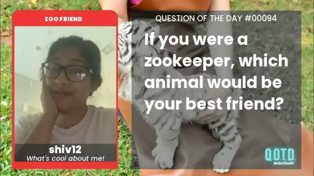 Video thumbnail for shiv12 would be BFFs with a chameleon. A friend for all situations!