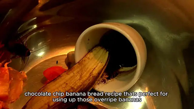 Video thumbnail for blackberry cobbler recipe