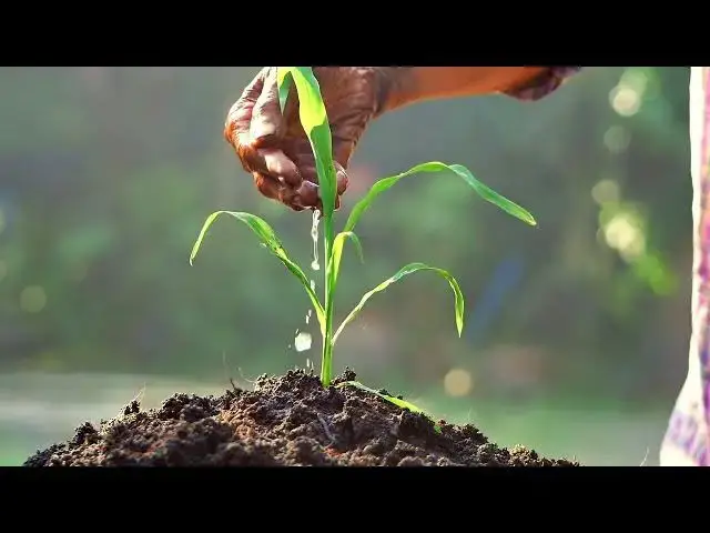 Video thumbnail for watering