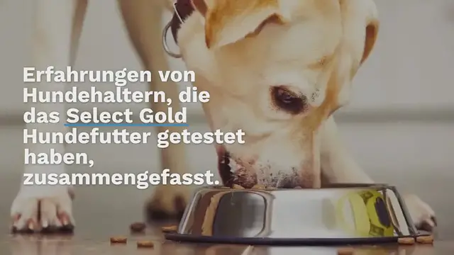 Video thumbnail for Select Gold Hundefutter im Test & Erfahrungen (2024)