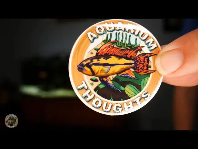 Video thumbnail for New Stickers and how to get some