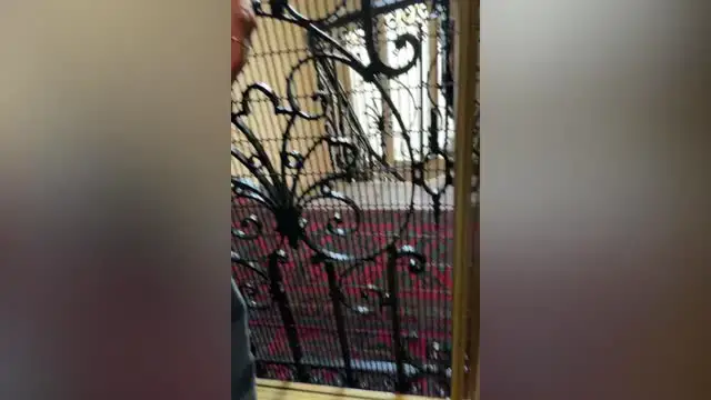 Video thumbnail for French Kids Bring U.S. Couple Stuck In Paris Elevator Snacks | Happily TV