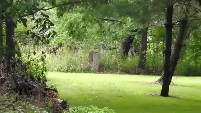 Video thumbnail for Minecraft Survival Tips