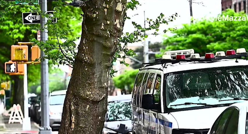 Video thumbnail for Man arrested for rape after sexual assault of Bensonhurst woman