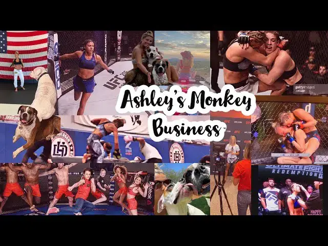 Video thumbnail for My daily routine