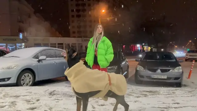 Video thumbnail for Doberman enjoys a winter night catching snowflakes in Odesa, Ukraine