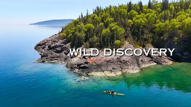 Video thumbnail for This Is Wild Discovery | New Season Premieres Sunday at 5 PM