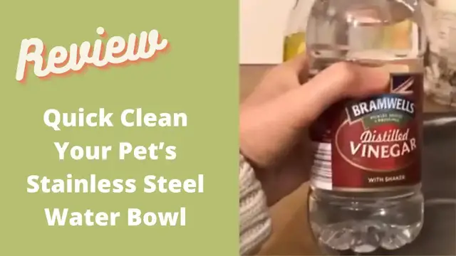 Video thumbnail for How to Remove limescale easily from your pet's stainless steel water bowl. (no scrubbing)