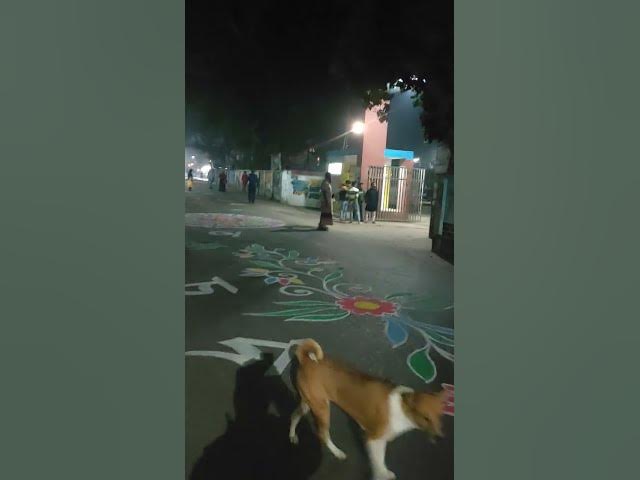 Video thumbnail for আলপনায় বর্ণিল সাতক্ষীরা সদর থানা সড়ক