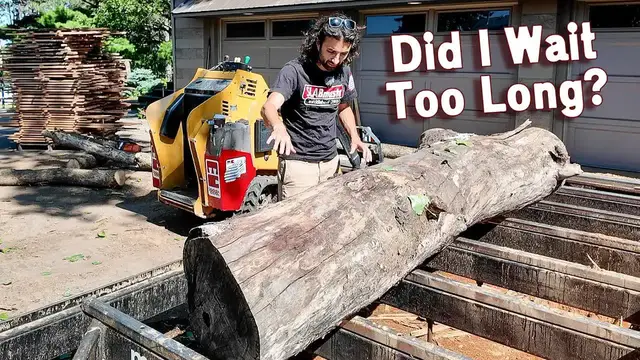 'Video thumbnail for Matthew Cremona: sawing derecho cherry: salvaging lumber from a fallen giant'