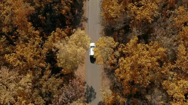 Video thumbnail for What are the MOST Popular States?