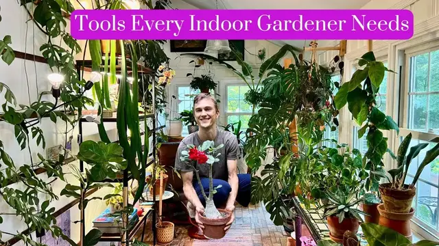 Video thumbnail for Tools Every Houseplant Gardener Needs for Indoor Plants - Part 1