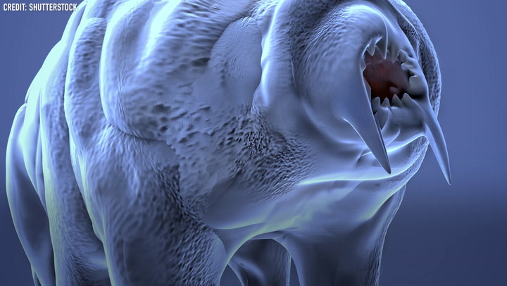 Video thumbnail for So what's a tardigrade?