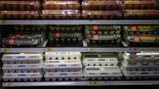 Video thumbnail for US egg prices hit record-high despite White House optimism