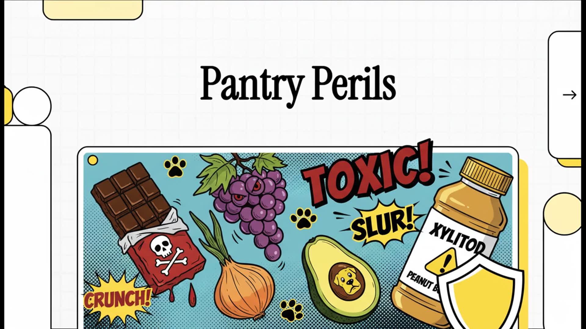 Video thumbnail for What Foods Are Toxic to Dogs?