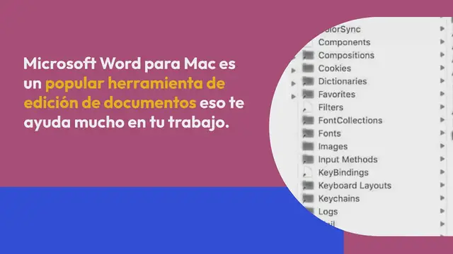 Video thumbnail for Cómo recuperar documentos de Word no guardados y eliminados en Mac (Guía completa)